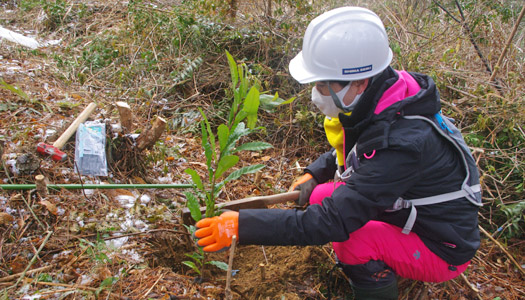 「シマセイキ　天野の里山」での活動